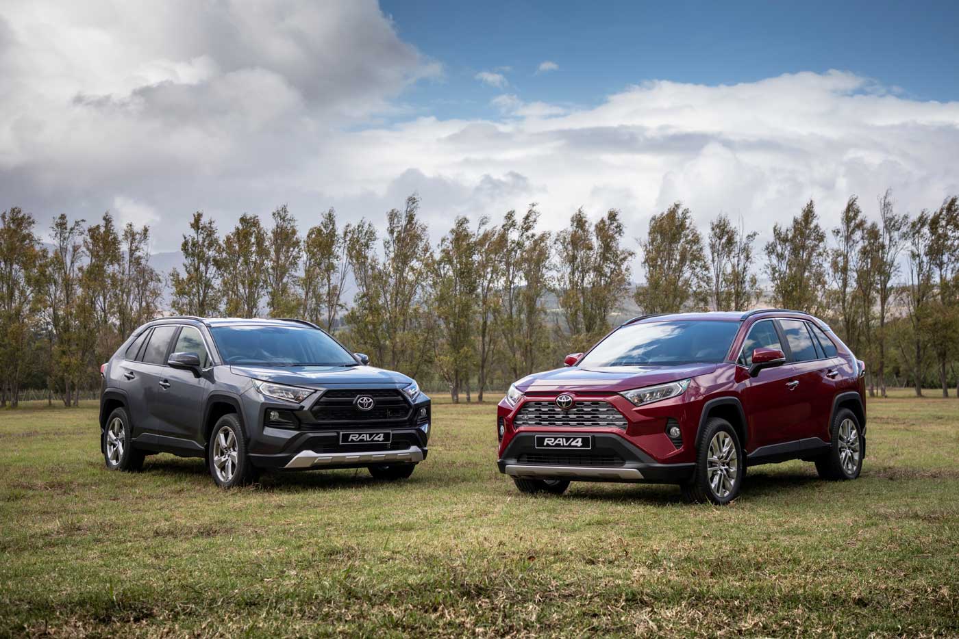 New Toyota Rav 4